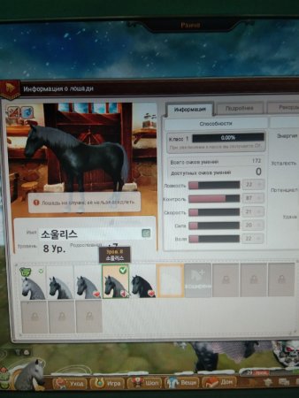 продажа аккаунта Star Stable Online