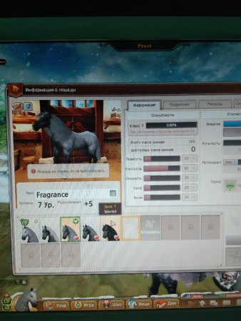 продажа аккаунта Star Stable Online