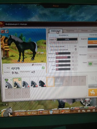 продается аккаунт Star Stable Online